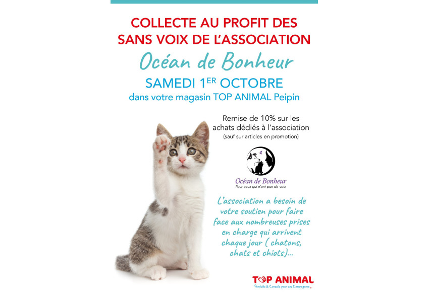 COLLECTE AU PROFIT DE L'ASSOCIATION OCEAN DE BONHEUR